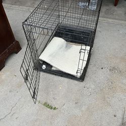 Dog Kennel