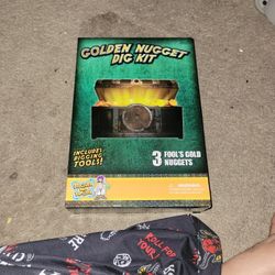 Golden Nugget Dig Kit
