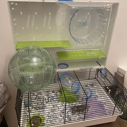 Hamster and cage plus hamster ball