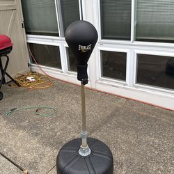 Everlast Reflex Bag Boxing