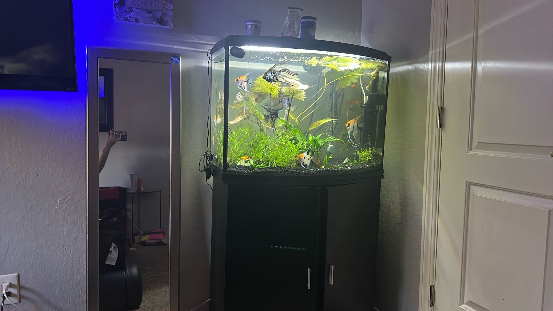 Fish Tank And Stand