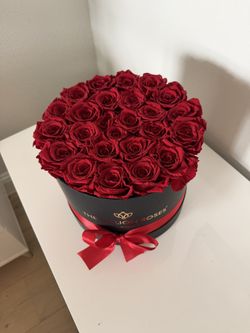 The Million Roses