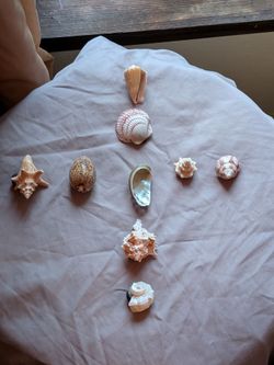 Set of shell magnets