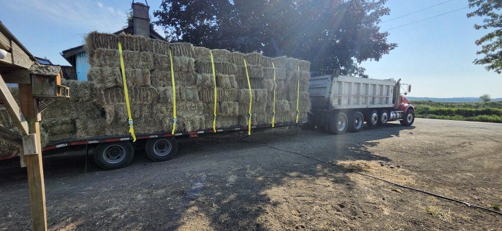 Hay For Sale (Delivery Available)