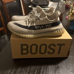 Yeezy boost 350 v2