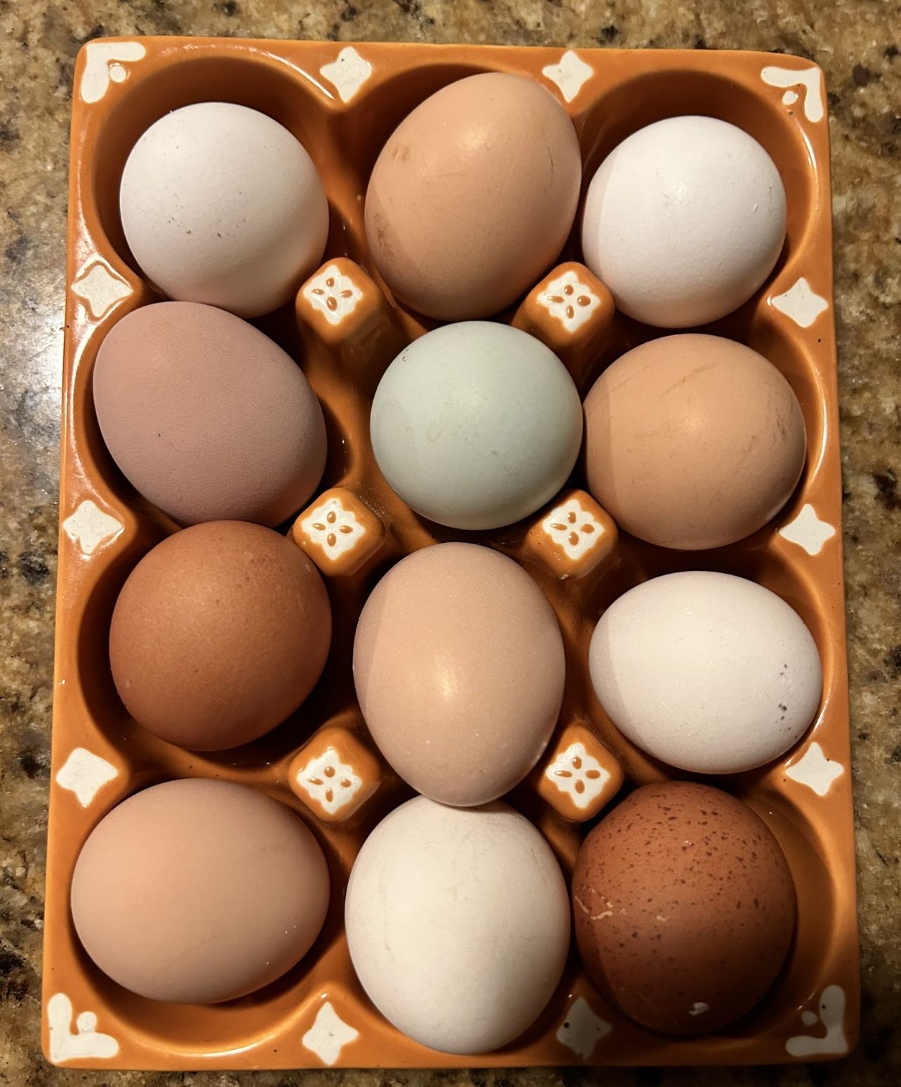 Fresh Organic Eggs