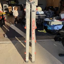 Little Giant Ladder 