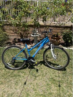 Schwinn Ranger Mountain Bike
