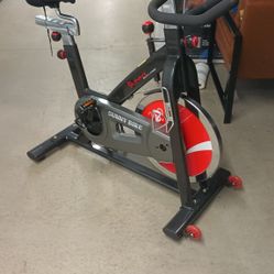 Sunny Bike Exercise Bike
