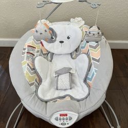 Fisher-Price  Deluxe Bouncer 