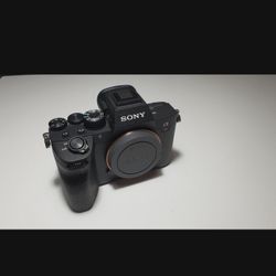 Sony Alpha A7R4 - A7RIV