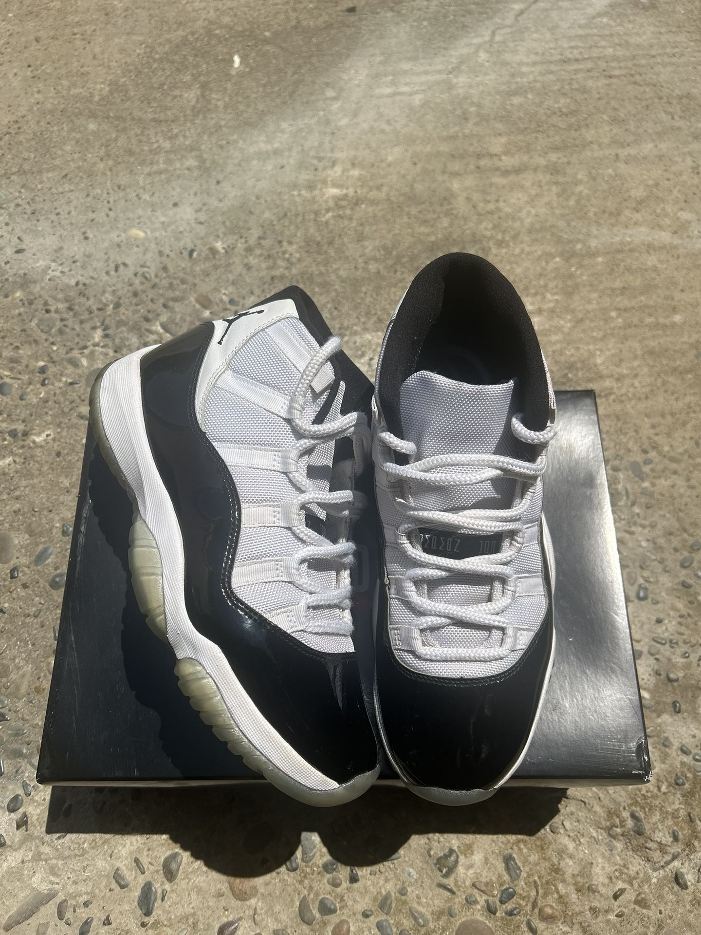 Concord Jordan 11s Size 8.5