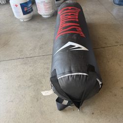 Ever Last Punching Bag 100 Lbs 