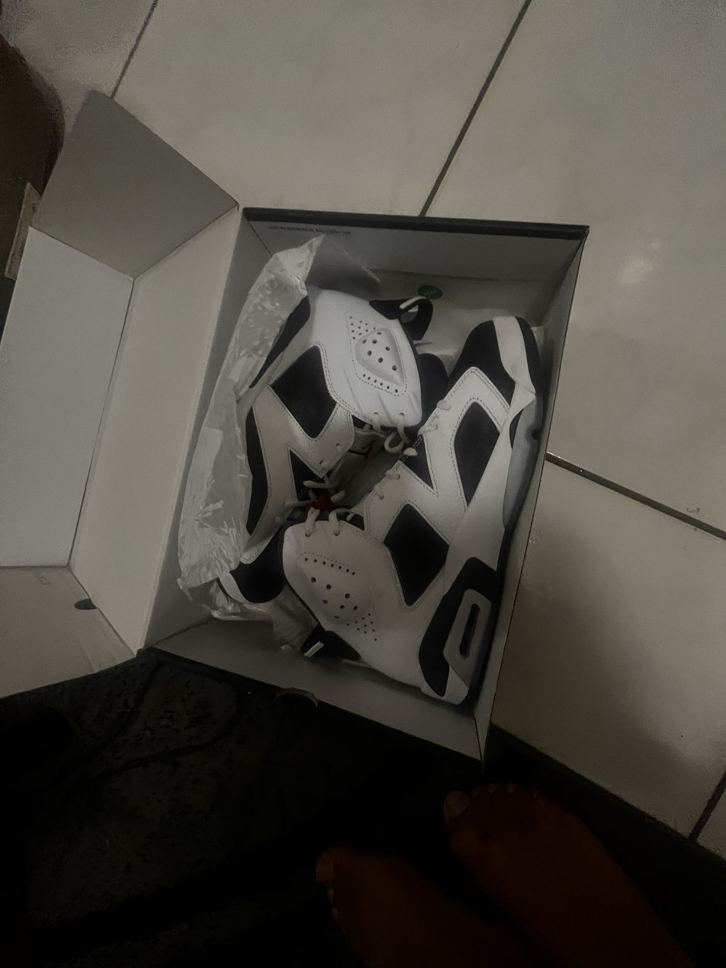 Air Jordan 6 Retro Navy And White
