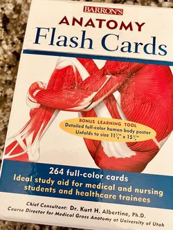 Anatomy Flash Cards