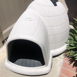 Dog House