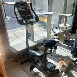 SCHWINN 170 Exercise Bike
