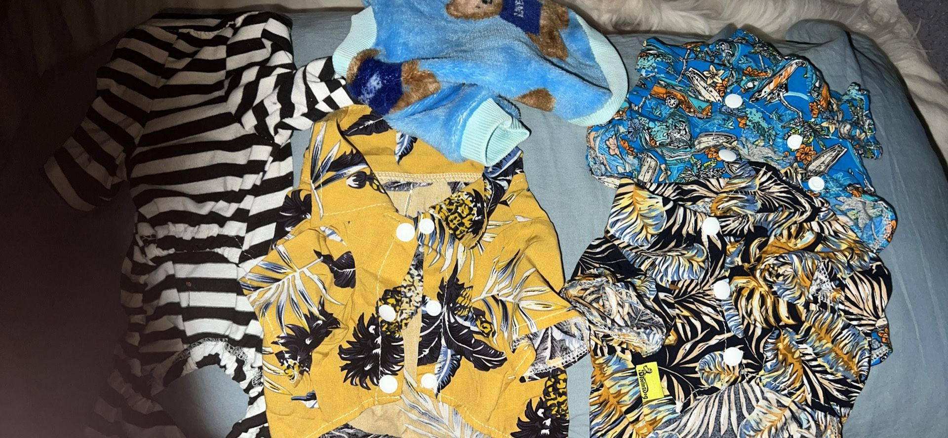 Small Dog Clothes