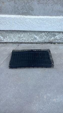 Large kennel and medium size kennel