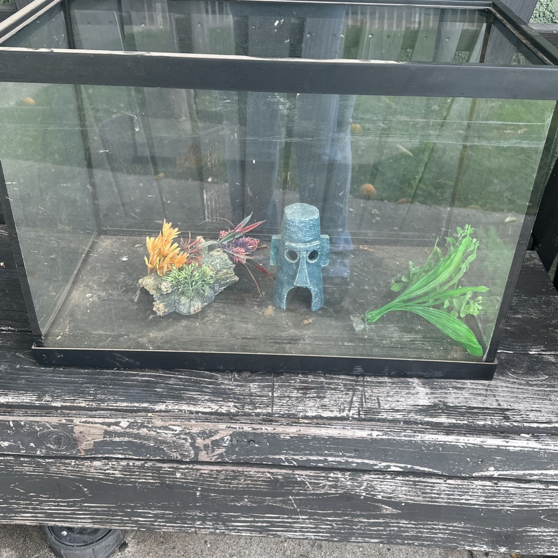 Fish Tank
