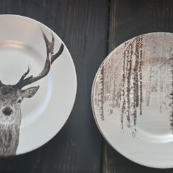 Beautiful Pier 1  "Winter"  Salad plates