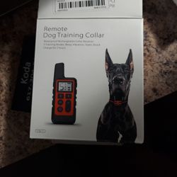 Dog Training Collar