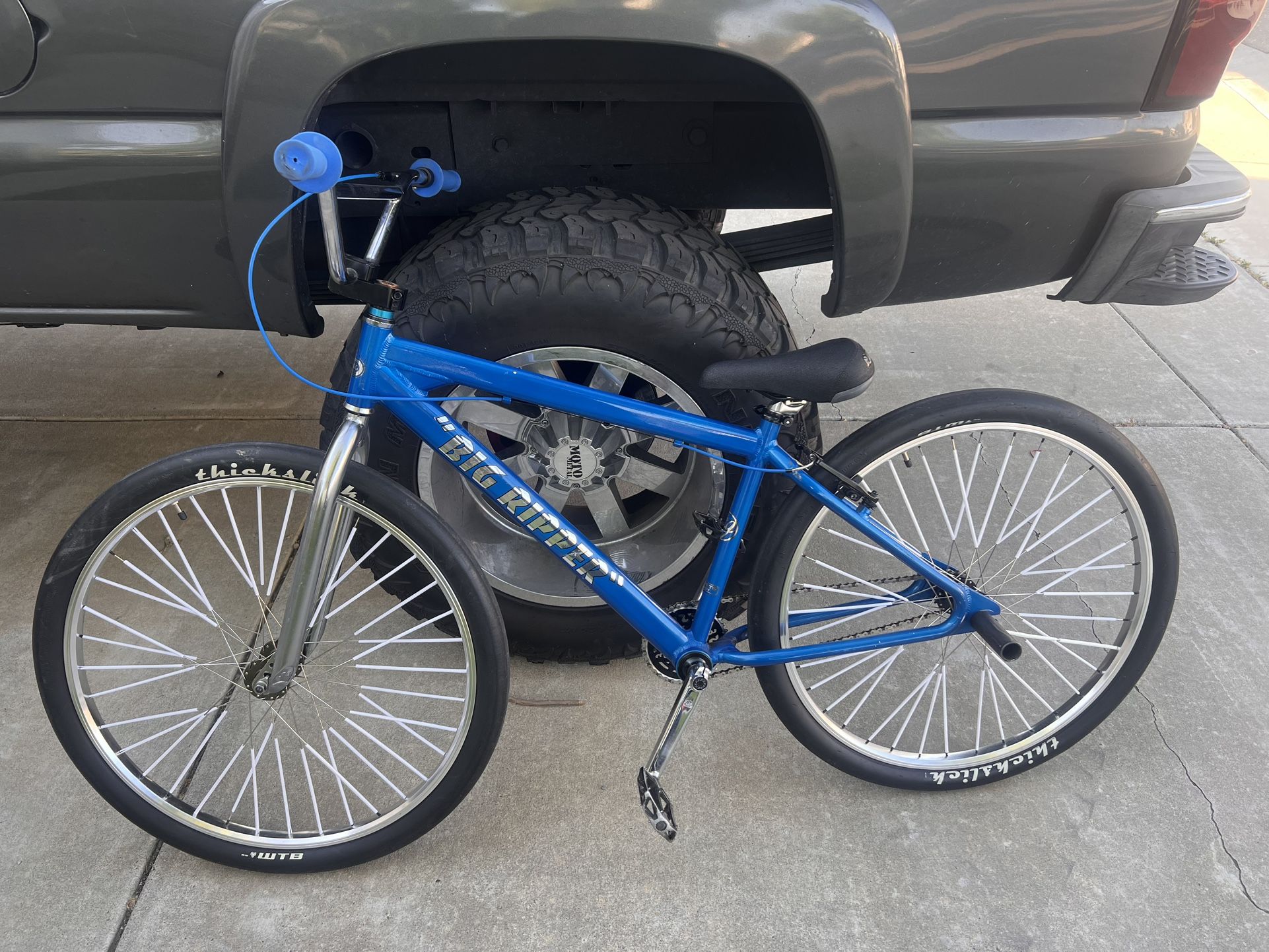 SE 29” Big Ripper