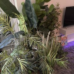 lots of artificial/fake plants
