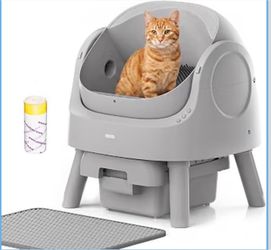 cat litter box