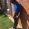Dvontae
