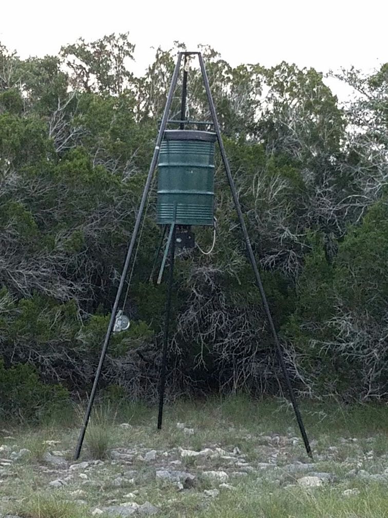 Deer feeders