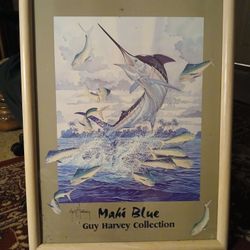 Nice picture.
Collectible