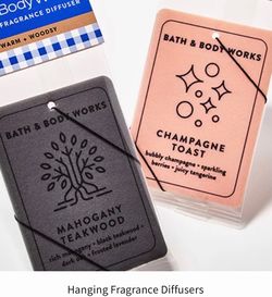 New! BATH & BODY WORKS🌬💙Hanging Fragrance Diffuser 💙🌬 $3 each or 4 for $10!