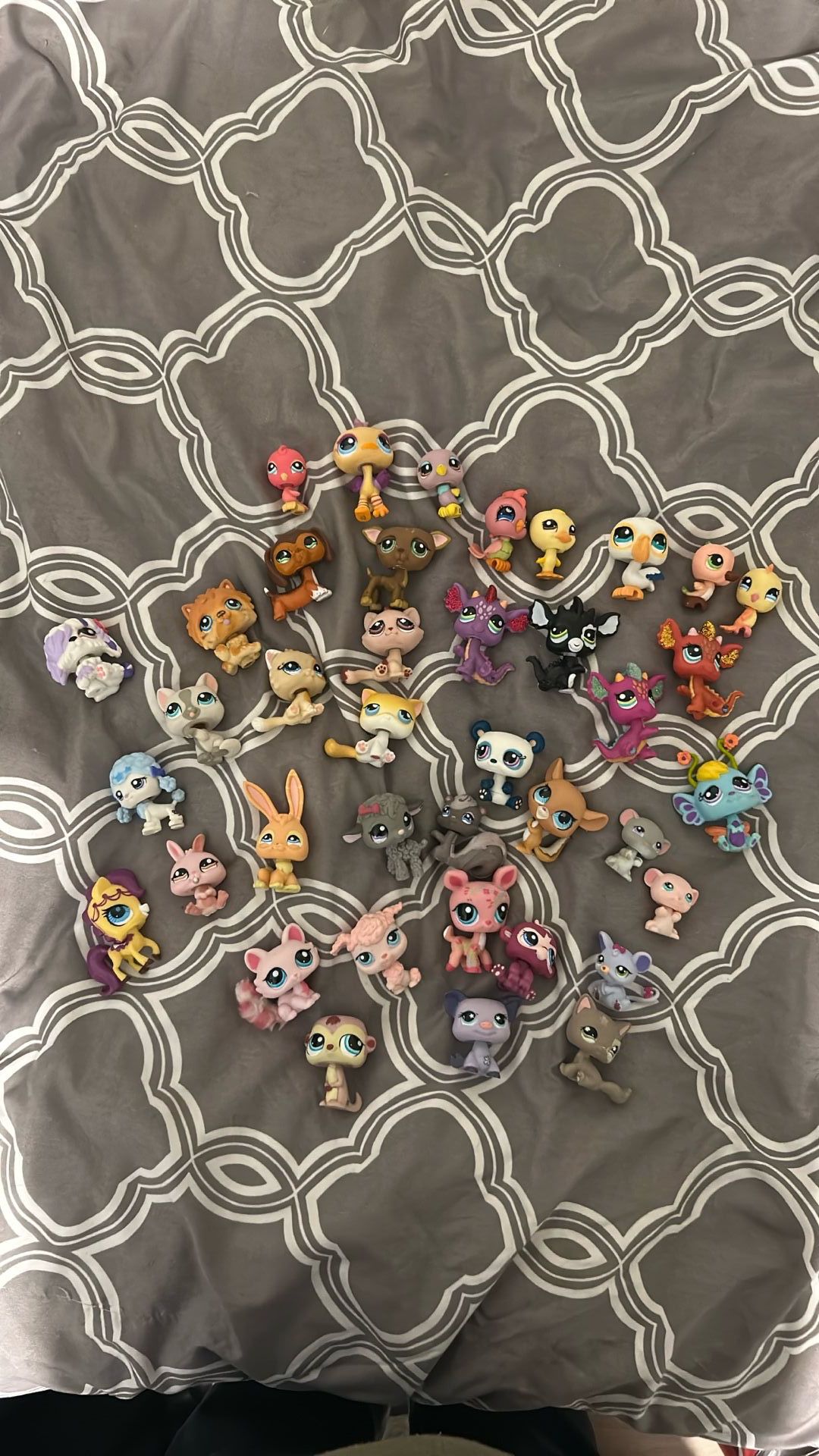 Littlest Pet Shop