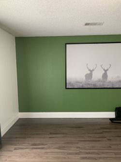 Moss point green paint