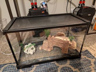 Terrarium