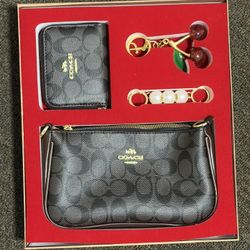 Dark Brown Coach Bag 