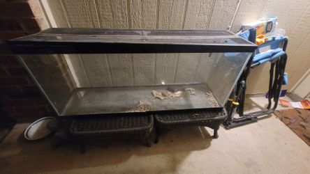 Lizard tank trade