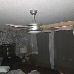 Ceiling Fan