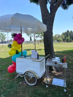 Ice Cream Cart / Carrito de Paletas