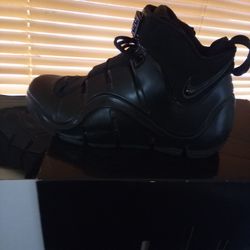 Jet Black LeBron Zoom Size Ten With Box
