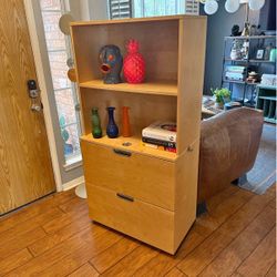 Heavy Office Bookcase/Filing cabinet