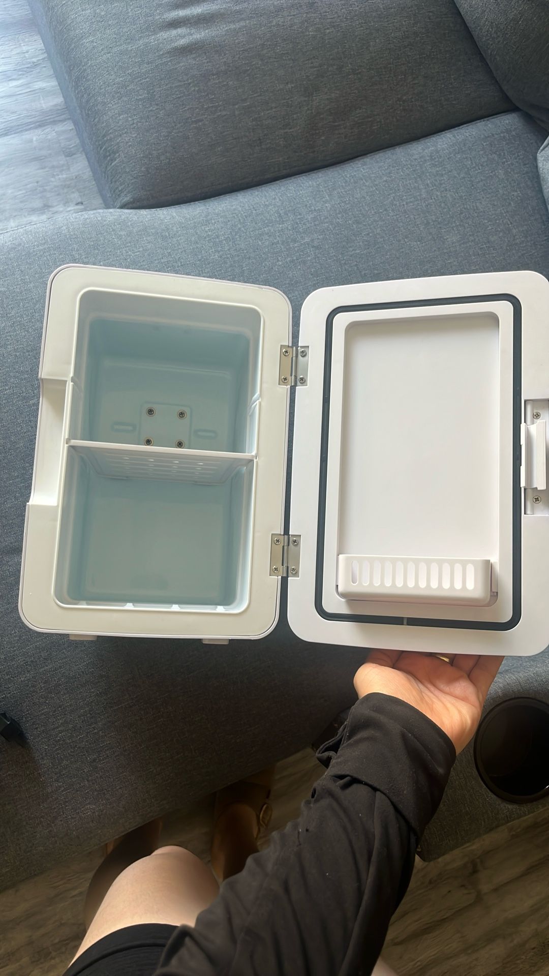 Mini Cosmetic refrigerator