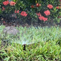 Sprinkler Repair 