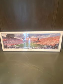 University of Florida Gators Panoramic Framed picture of Ben Hill Griffin Stadium “The Swamp”