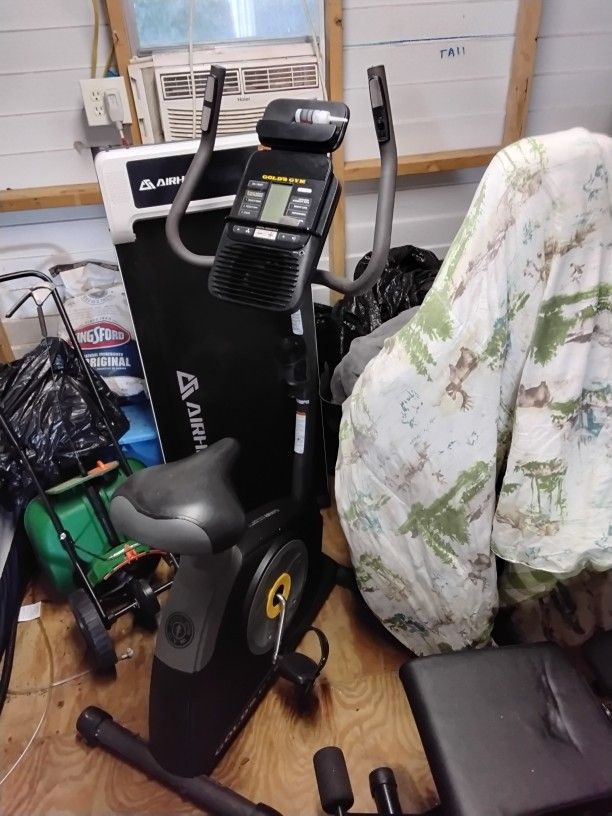 Golds Gym Workout Bike