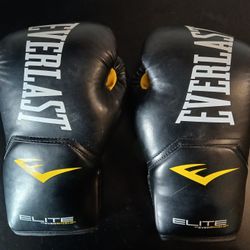 Brand New Everlast Boxing Gloves 