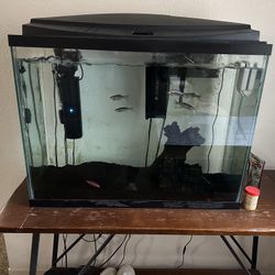 40 Gallon Aquarium 