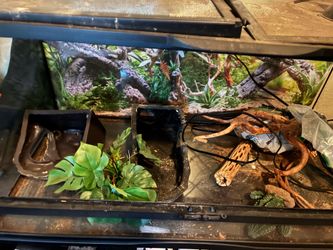 Terrarium
