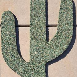 Large, Cactus, Cactuses, Indoor, Outdoor, Walls,Rubber